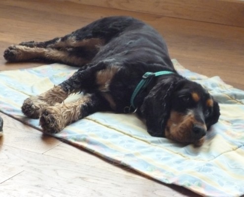 Hera asleep